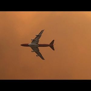 Meet your Posher, Luz